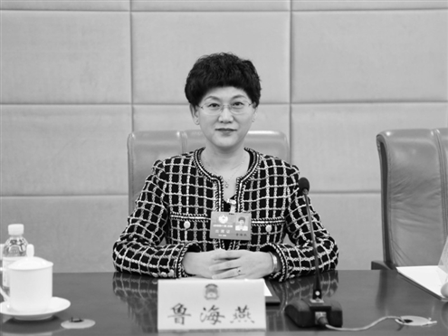 省政协委员,枣庄市妇联党组书记、主席鲁海燕